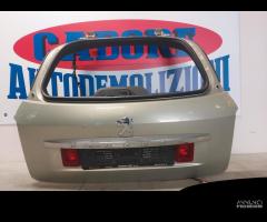 Portellone bagagliaio oro Peugeot 407 del 2007 - 1