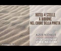 AZIENDALE - HOTEL 4 STELLE A BIBIONE - 1