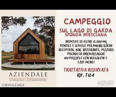 CAMPEGGIO SUL LAGO DI GARDA SU OLTRE MQ 15.000