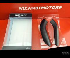 PROTEZIONE FORCELLONE TRIUMPH STREET TRIPLE R S RS