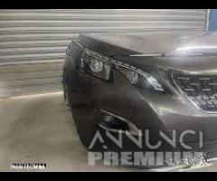 Peugeot 2008 / 3008 musata frontale2019 2020 2021