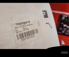 BATTERIA TRIUMPH TIGER 800