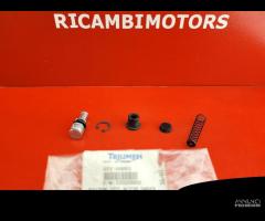 KIT REVISIONE POMPA FRENO TRIUMPH TROPHY 900 - 1