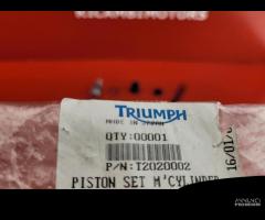 KIT REVISIONE POMPA FRENO TRIUMPH TROPHY 900