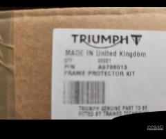 KIT TAMPONI PORTATARGA TRIUMPH STREET TRIPLE - 17