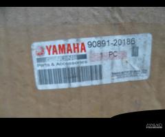 FORCELLONE YAMAHA YBR 250 - 3