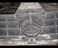 Griglia - Calandra Per Mercedes C W203 - 8