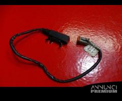 ANTENNA SICUREZZA HARLEY DAVIDSON SPORTSTER 1200