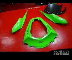 CARENA CODONE KAWASAKI ZX10R LEGGI