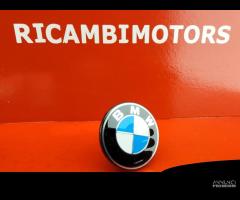 EMBLEMA LOGO PIASTRA BMW K1600 - 1