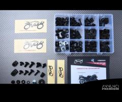 Kit viti Carena KAWASAKI ZX14R ZZR 1400 2006 2011