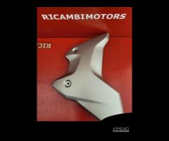 FIANCHETTO COPRI RADIATORE BMW R1200GS R1250GS LC