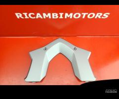 COVER PORTAPACCHI BMW R1200RS LC R1250RS - 1