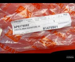 PLASTICA RADIATORE DX SPORT CITY 125 - 250 - 300 - 2