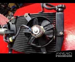 RADIATORE ACQUA DUCATI 999