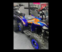 QUAD ELETTRICO 1000 WATT