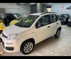 Fiat Panda natural power Metano 2013 - 17