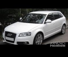 Parabrezza verde Audi A3 8P da 2003 a 2012