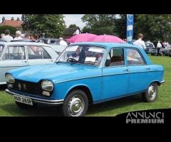 Parabrezza Peugeot 204 304