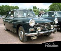 Parabrezza Peugeot 404 (1960 - 1976)