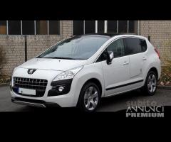 Parabrezza Peugeot 3008 (2009 in avanti) - 1