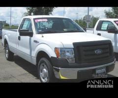 Parabrezza Ford F 150 da 2008 a 2011