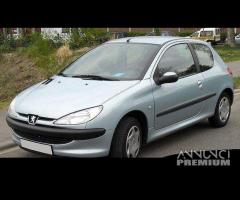 Parabrezza Peugeot 206 - 1