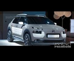 Parabrezza Citroen Cactus (dal 2014) - 1