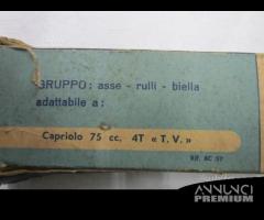 Biella Capriolo 75 MPM Nuova