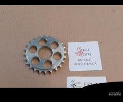 Corona 24 Denti motore Motom 48 4T