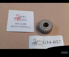 Ingranaggio primario Moto Guzzi Guzzino Cardellino