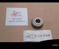 Ingranaggio primario Moto Guzzi Guzzino Cardellino - 7