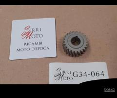 Ingranaggio primario Moto Guzzi Guzzino Cardellino - 11