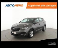 OPEL Grandland X WW53941 - 1