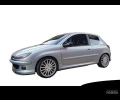 4 Ammortizzatori Sportivi Regolabili PEUGEOT 206 - 8