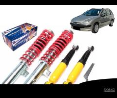 Kit Assetto A Ghiera Regolabile TA PEUGEOT 206 - 12