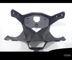 SUPPORTO STRUMENTAZIONE CARBONIO DUCATI PANIGALE 8 - 1