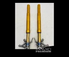 Coppia forcelle ohlins ducati 1199 panigale s r