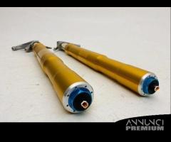 Coppia forcelle ohlins ducati 1199 panigale s r