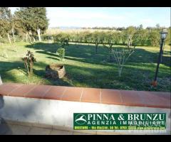 Santa giusta - cirras villa terreno 12.000 mq - 9