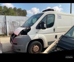 fiat ducato 2009 2010 - 1