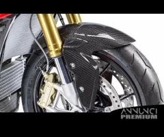 PARAFANGO ANTERIORE CARBONIO BMW S1000XR MY 2020 2