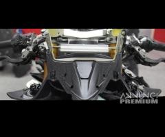 Paratia strumentazione carbonio DUCATI PANIGALE 89 - 2