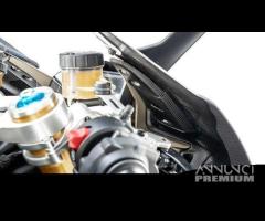 Copri strumentazione carbonio ducati panigale v4