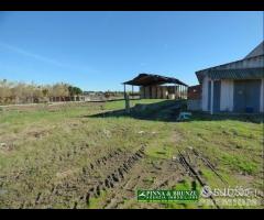 Siamaggiore terreno con capannoni agricoli