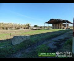 Siamaggiore terreno con capannoni agricoli - 7