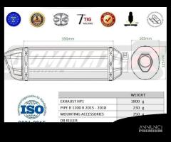 SCARICO TERMINALE SPECIAL TITANIO BMW R1200R R1200 - 4