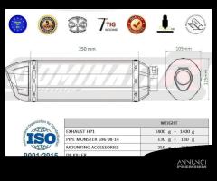 SCARICHI TERMINALI DUCATI MONSTER 696 796 1100