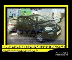 FIAT PANDA 319 Muso,Airbag,Porte dal 2012 a 2020