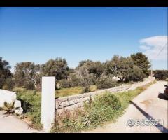 Terreno in zona residenziale